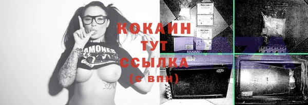 сатива Вязьма