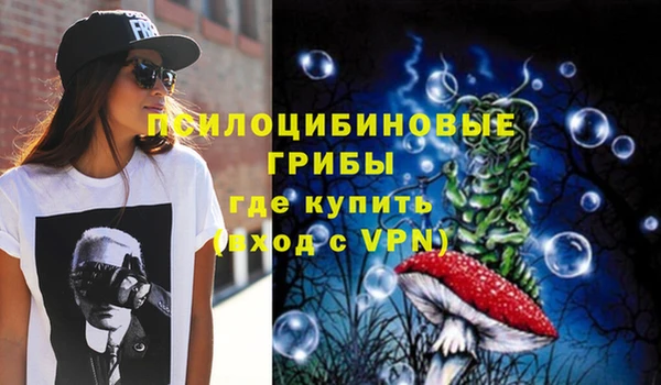 a pvp Вязники