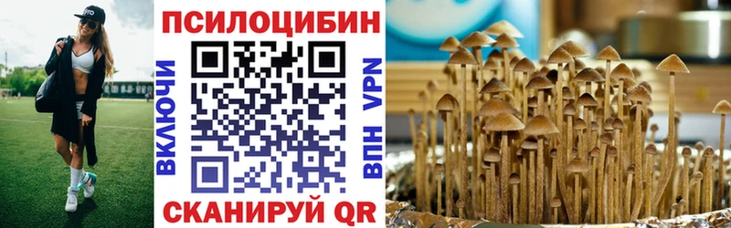 Галлюциногенные грибы Magic Shrooms  купить наркотик  blacksprut маркетплейс  Братск 
